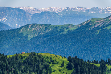 Green mountain ridges, surrounded by high mountains. Snow-capped mountain peaks on the horizon. Krasnaya Polyana, Sochi, Caucasus, Russia.