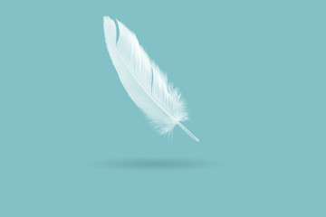 abstract, single white  feather falling in the air