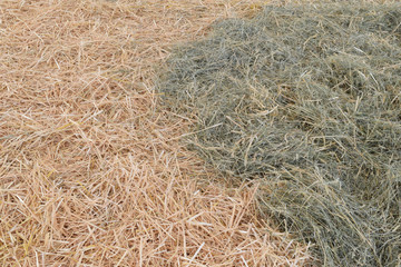 straw and hay bedding in a stall, background