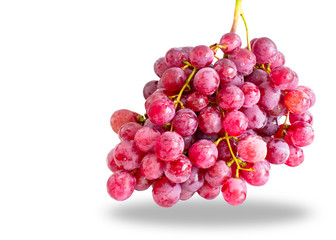 Red grapes on white background