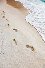 tropical beach with white sand
