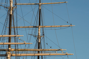 Boat tackling with crows in th harbour of Stockholm