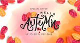 Autumn sale background layout decorate with leaves for shopping sale or promo poster and frame leaflet or web banner.Vector illustration template.