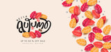 Autumn sale background layout decorate with leaves for shopping sale or promo poster and frame leaflet or web banner.Vector illustration template.