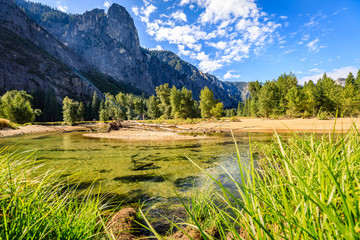 Tall green grass in the foreground the Merced River and some trees in front of Sentinel Rock