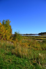 Fototapeta na wymiar Astotin Lake with Autumn Colours