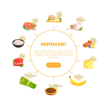 Protein Diet Chart Diagram, Nutrition And Wholesome Products For Cooking And Eating Vector Illustration