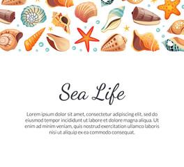 Sea Life Banner Template with Seashells and Space for Text, Summertime Vacation Poster, Landing Page Vector Illustration