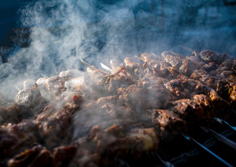 Chicken kebab in the fresh air.