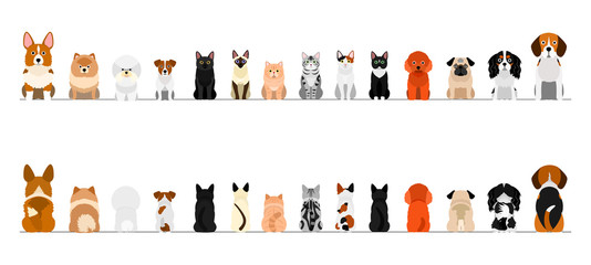 small dogs and cats border border set, full length, front and back - obrazy, fototapety, plakaty