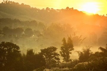 Foggy early morning in the mountains with shadows and silhouettes of forest and hills.