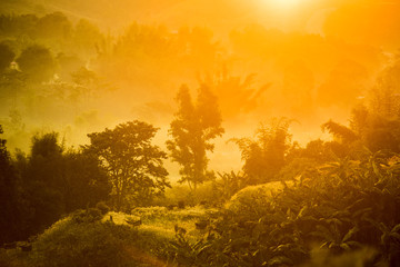 Foggy early morning in the mountains with shadows and silhouettes of forest and hills.