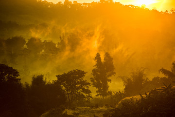 Foggy early morning in the mountains with shadows and silhouettes of forest and hills.