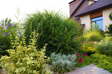 Fototapeta na wymiar Beautiful landscape with green garden near modern house on summer day