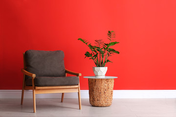 Stylish room interior with modern furniture and houseplant near red wall. Space for text