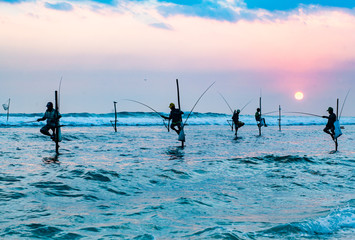 stilt fishermen at sunset in Sri Lanka