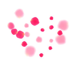 Pink rose petals falling vector valentine background.