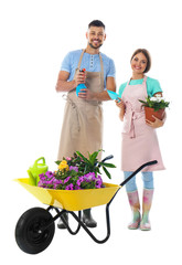 Couple of gardeners with wheelbarrow and plants on white background
