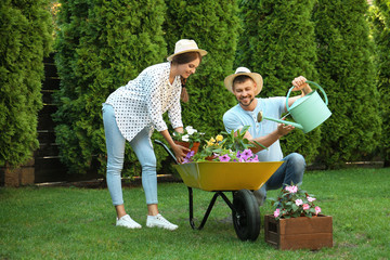 Happy couple working together in green garden