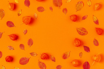 Autumn leaves on an orange background