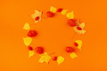 Autumn leaves on an orange background
