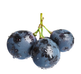 Fresh ripe juicy black grapes isolated on white