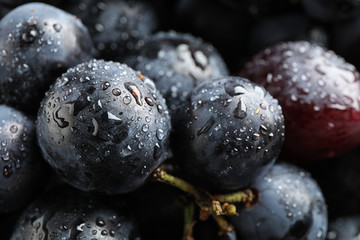 Fresh ripe juicy black grapes as background, closeup view