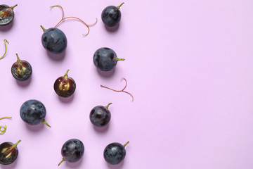 Flat lay composition with fresh ripe juicy grapes on lilac background, space for text
