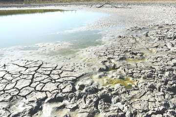 High pond turned into a swamp, dry and viscous.