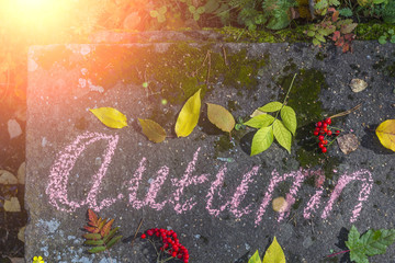 Autumn concept. A word 