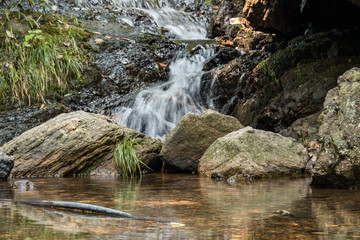 rushing down waterfall blocked by big rocks inside park under the shade