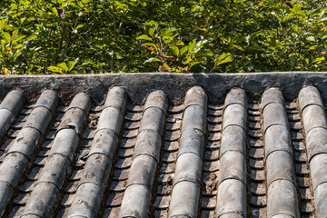 texture background of traditional Chinese rooftop tile under the sun in front of green foliage