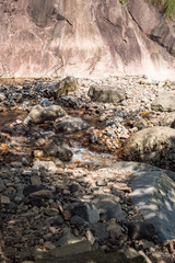 stream with crystal clear water flow through the rocky creek on a sunny day down under cliff