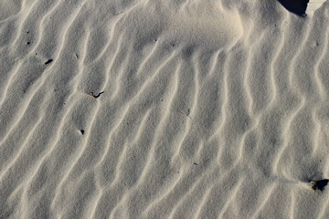 footprints in the sand