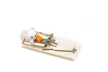 Cheap wood and metal snap mouse traps for catching pests