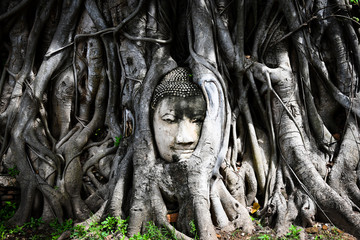 The head of a stone Buddha entwined in the roots of a tree at Wat Mahathat, “the temple of the Great Relic” the most important temples in Ayutthaya province, Thailand.