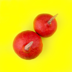 Two Hokkaido pumpkins on yellow background. Top view.