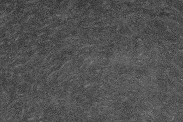 Pumpkin cut in half with the texture of pulp. Pumpkin slices background closeup, top view. Black and white