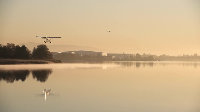 Float Plane Early Morning Mist 4K UHD. A float plane landing on the Fraser River at YVR. 4K. UHD.