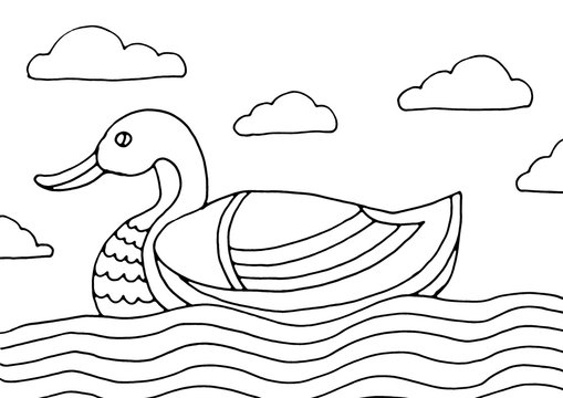 Duck in the river coloring page. Hand drawing coloring book for children and adults. Beautiful drawings with patterns and small details. One of a series of painted paintings.