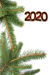 Fototapeta na wymiar new year 2020. Christmas greeting card. Branch of fir on white background and copy space