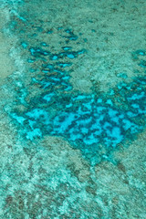 Great Barrier Reef