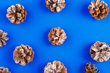 Pine cones pattern background on blue table