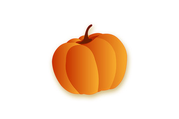 pumpkin isolated on white background