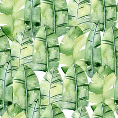 Tropical seamless pattern