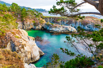 China’s Cove in Point Lobos State Nature Reserve in Carmel-By-The-Sea, California 