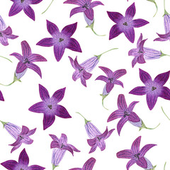 Fototapeta na wymiar Seamless pattern with watercolor garden bluebells on white background. Good design for textile, wallpaper, backdrop, casing-paper etc.