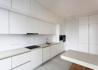 Modern and new kitchen with built in appliance