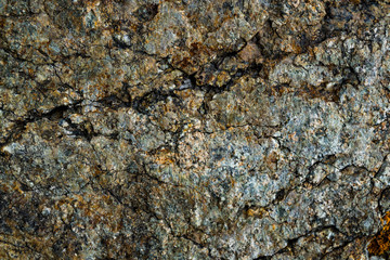 The texture of the stone overgrown with moss. Background image of a boulder