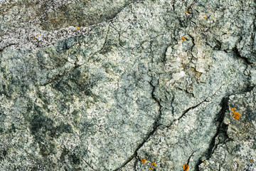 The texture of the stone overgrown with moss. Background image of a boulder